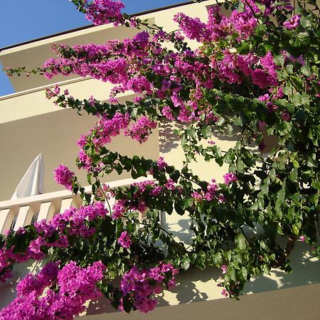 Apartments Villa Cizmic Baška Voda Esterno foto