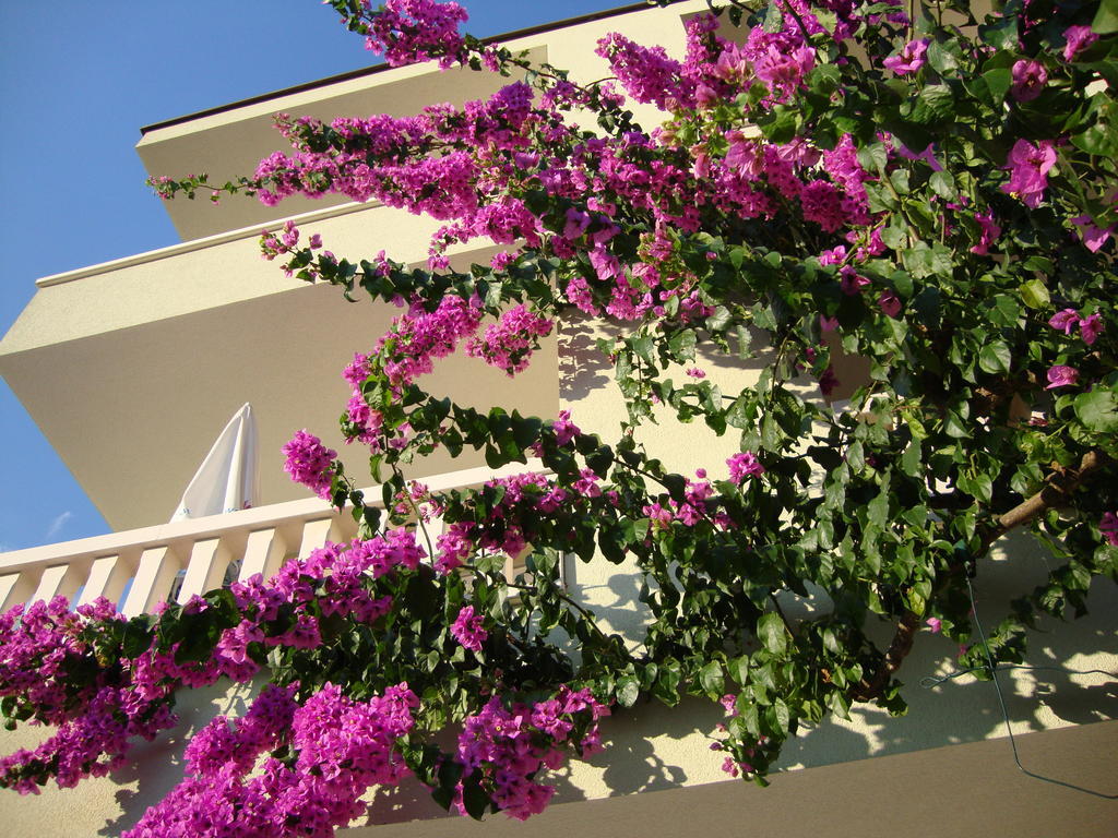 Apartments Villa Cizmic Baška Voda Esterno foto